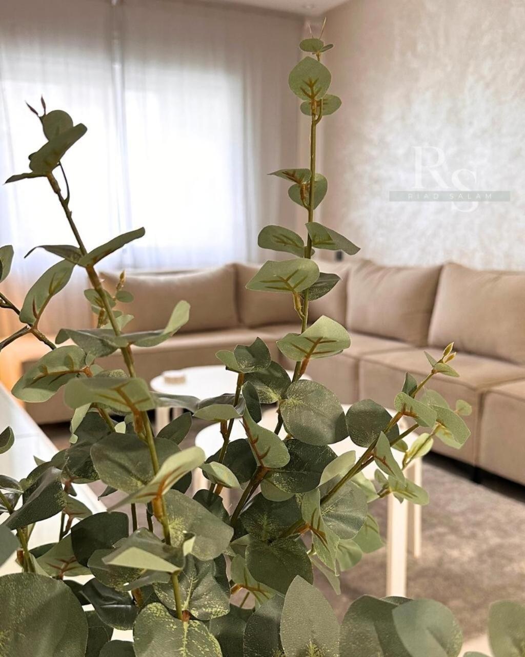 Apartment Salam Comfort *